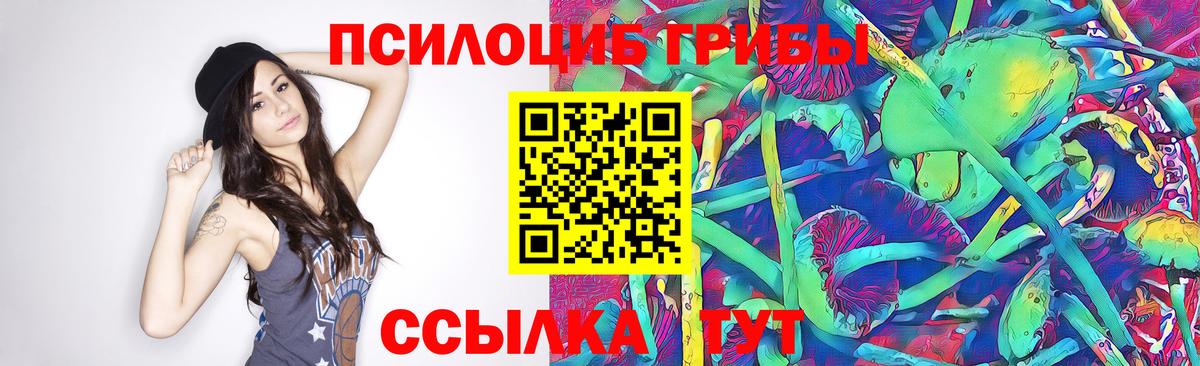 Камень-на-Оби  Галлюциногенные грибы MAGIC MUSHROOMS  хочу   Вход с VPN  Псилоцибиновые грибы мухоморы 