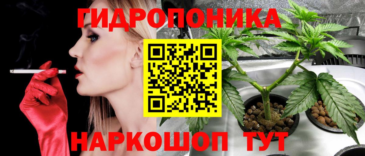 Каннабис Bruce Banner  Канабис Amnesia  Бошки Шишки план  Камень-на-Оби  Вход с VPN  Канабис Amnesia 